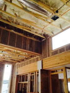 roof and wall insulation